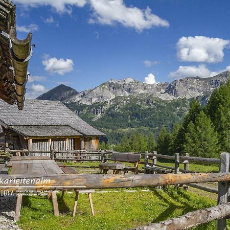 Powderia Family & Freelance Apartment In The Centre Of Ski Amade 阿尔滕马克特蓬高 外观 照片